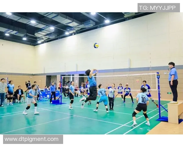 杭州排球队在精英赛中的比赛经验与表现分析