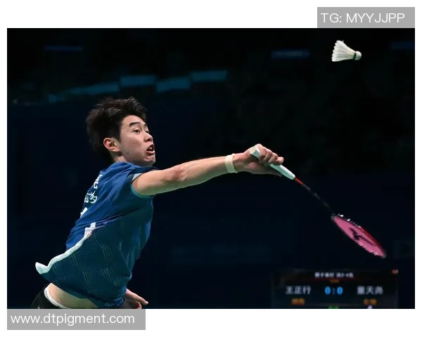 武汉羽毛球队荣获全国羽毛球技术排行榜第三名的辉煌成就解析